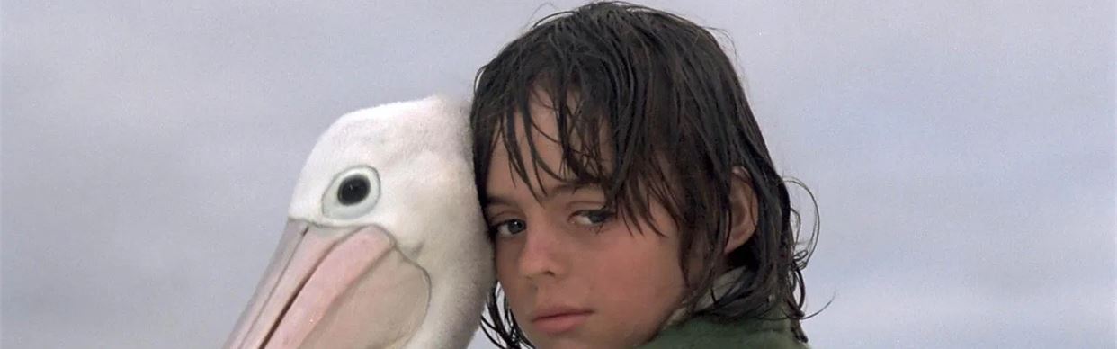 Storm Boy
