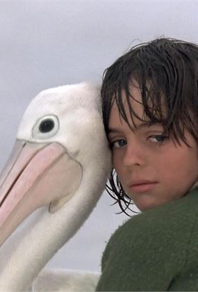 Storm Boy